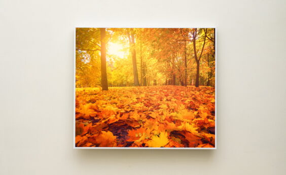 450 Watt Fall Panel