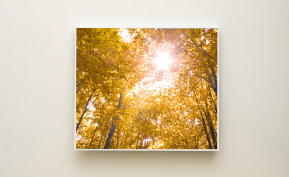 450 Watt Sunlight Panel