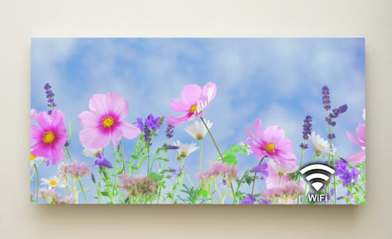 700 Watt Pink Flowers Panel