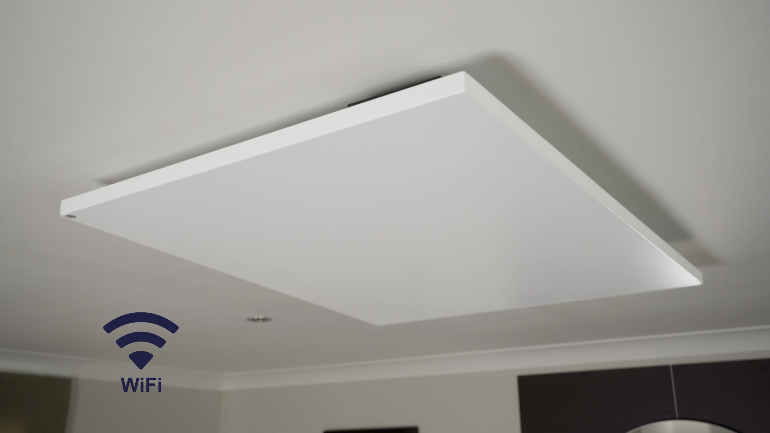 320 Watt Platinum Ceiling-Mounted Infrared Smart Heater