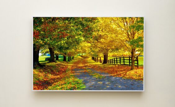 580 Watts Autumn Trail Panel