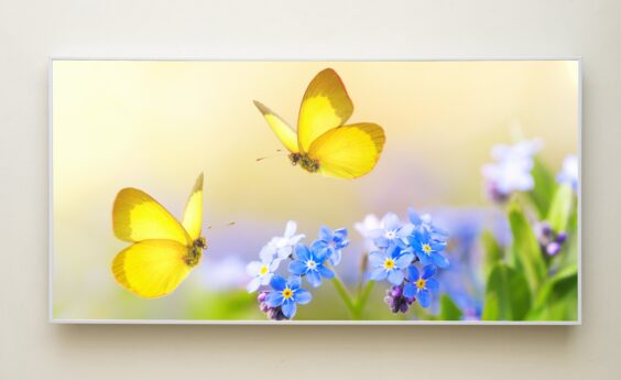 700 Watts Butterfly