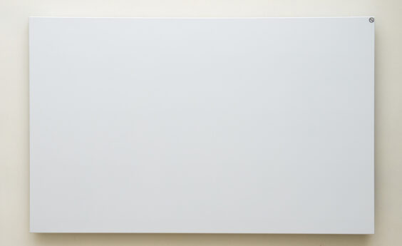 900-Watt Platinum Wall-Mounted WIFI Smart Infrared Heater, White