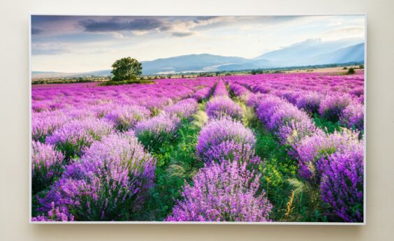 900 Watts Lavender Field Panel