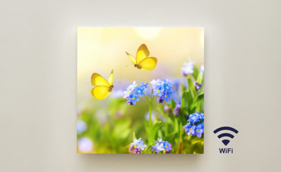 350 Watt Butterfly Panel