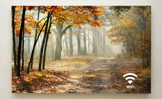 900 Watt Woodland Trail Panel