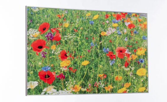 960 Watts Meadow Flowers Panel