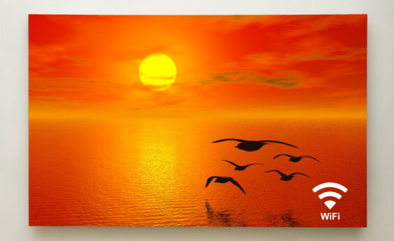 900 Watt Sun Birds Panel