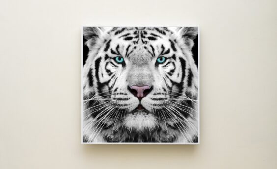 350 Watts Tiger Panel