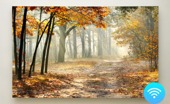 900 Watts Woodland Trail Panel