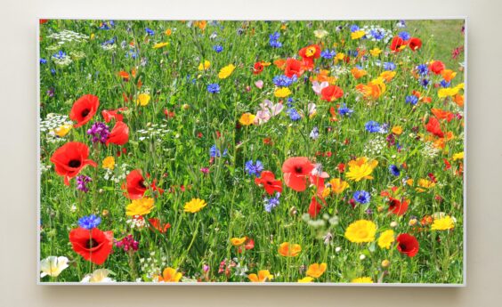 900 Watt Meadow Flowers Panel