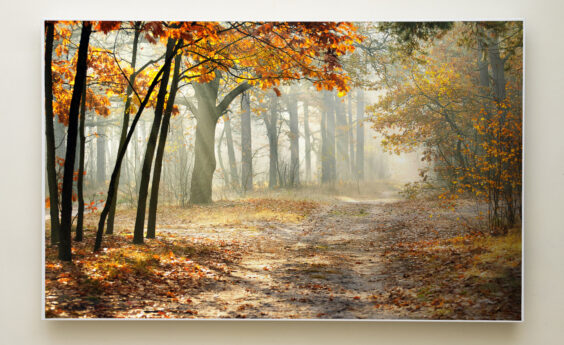 900 Watt Woodland Trail Panel