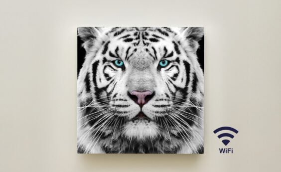 350 Watt Tiger Panel