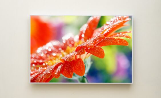 580 Watt Orange Flower Panel